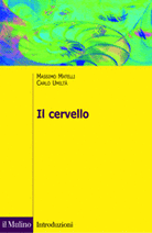 Il cervello